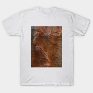 Sandstone rock texture T-Shirt